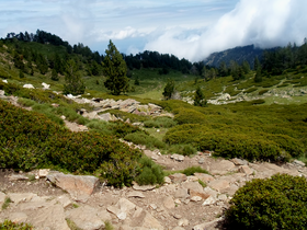 Le Canigou  Photo23.png